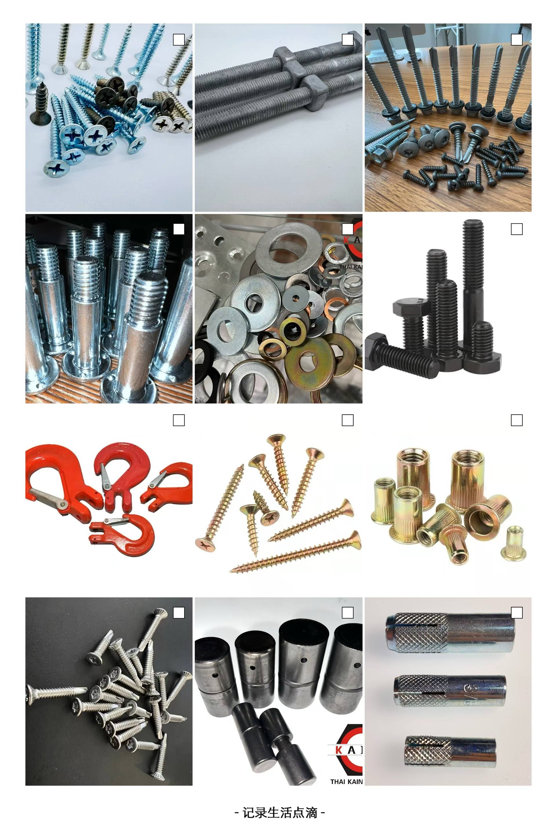 สกรูปลายสว่าน Self-drilling screws